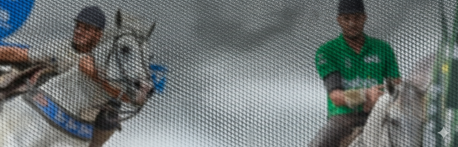 Vaquejada Background